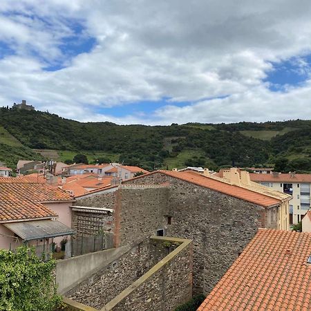 5Demo54 - Appartement Tres Proche Plage Et Toutes Commodites Collioure Ngoại thất bức ảnh